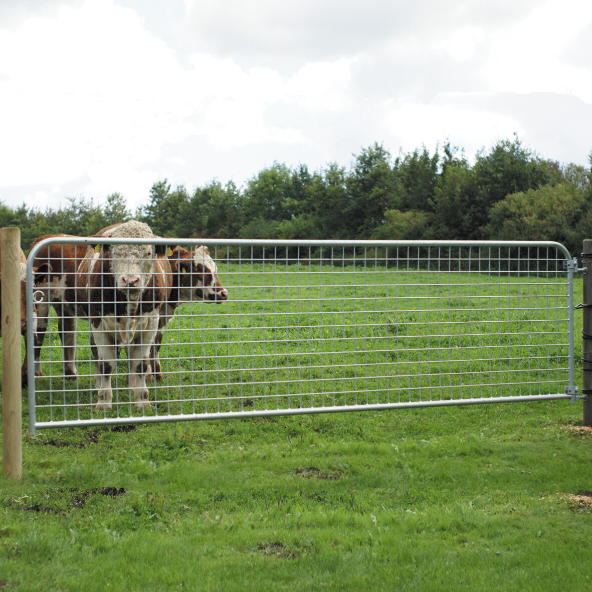 Låge, gitter 100 x 362 cm NORDIC FENCE