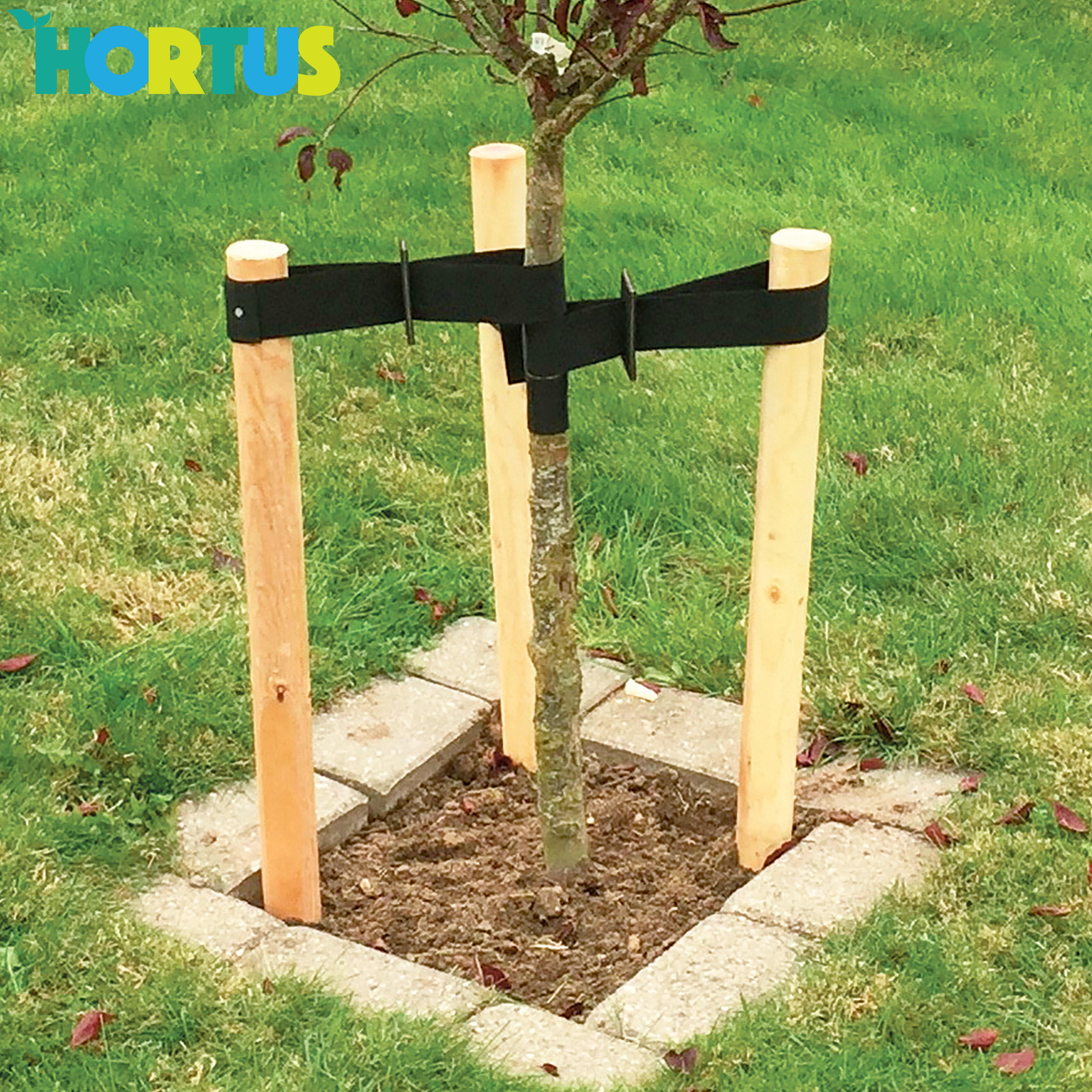 Träduppbindare, svart HORTUS