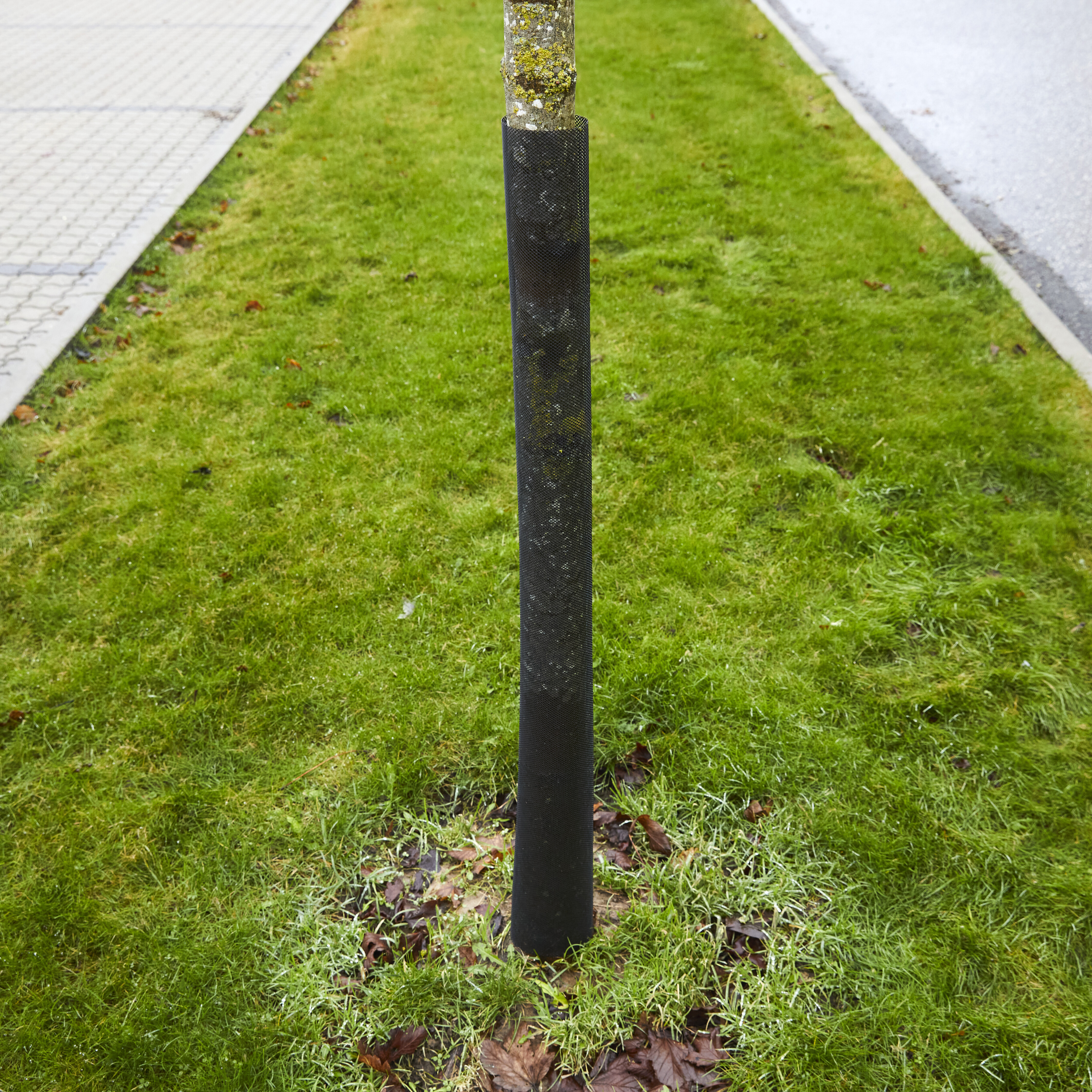 Stammebeskytter 110 cm, sort, 2-pak, NORDIC FENCE