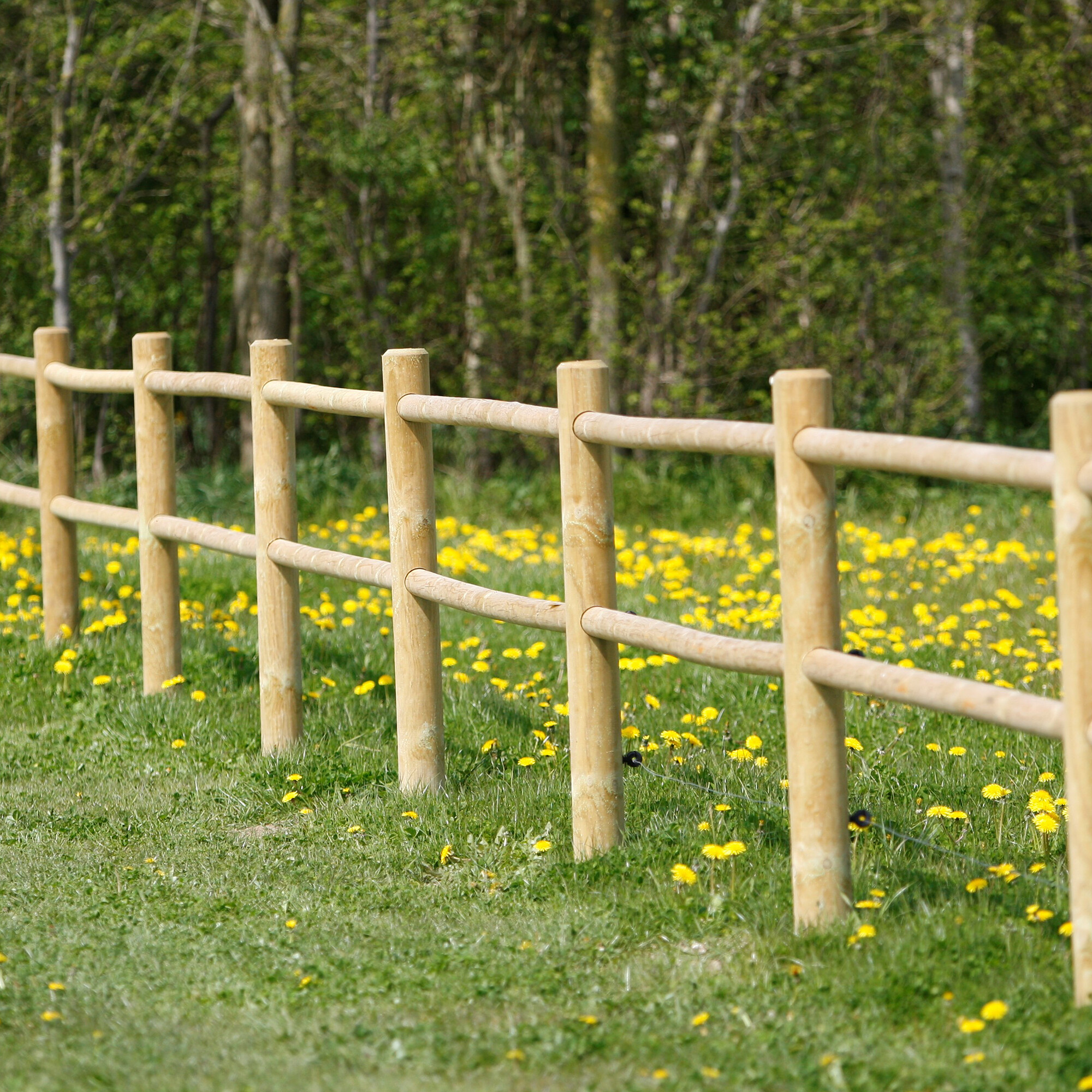 Horse fence 80 m
