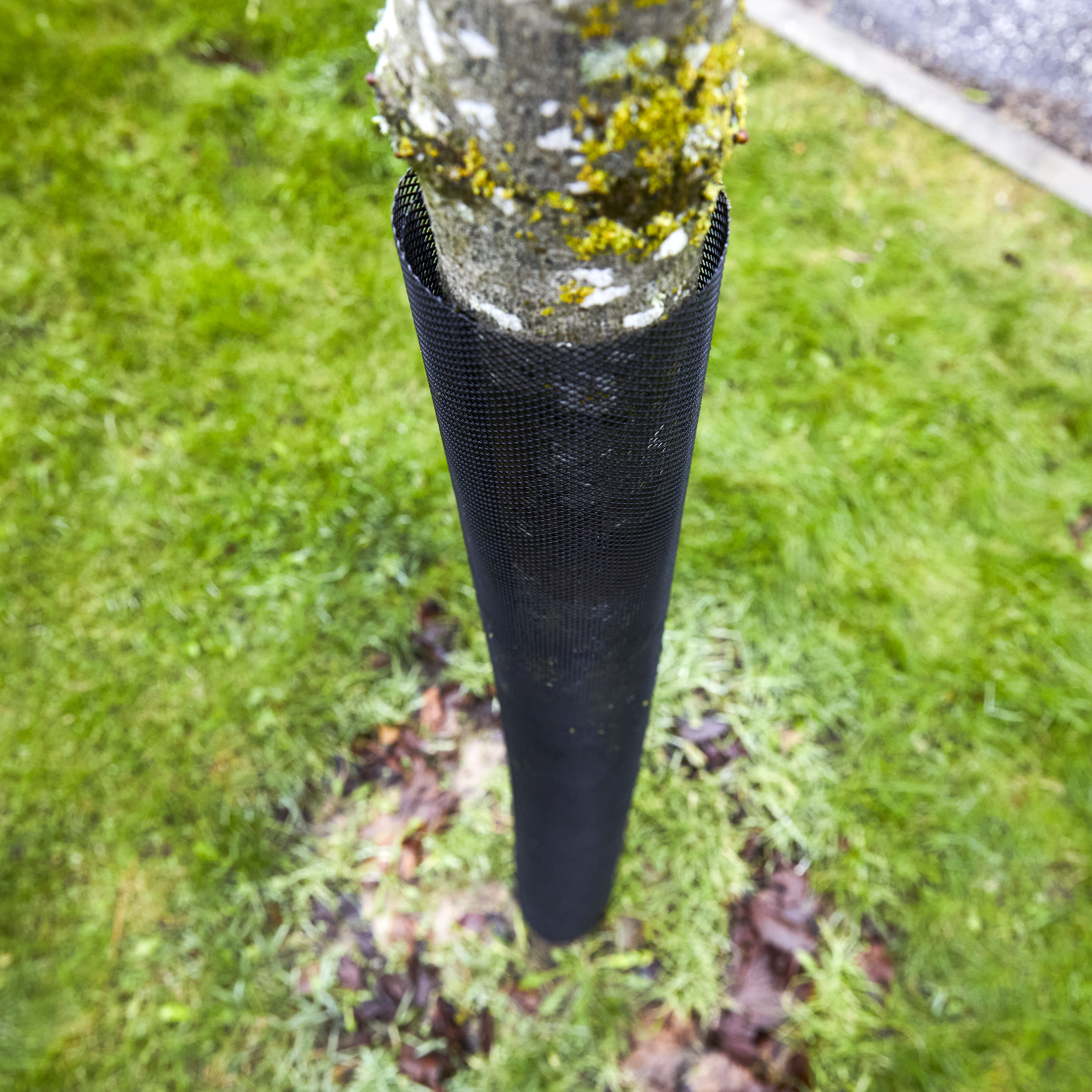 Stammebeskytter 110 cm, sort, 2-pak, NORDIC FENCE