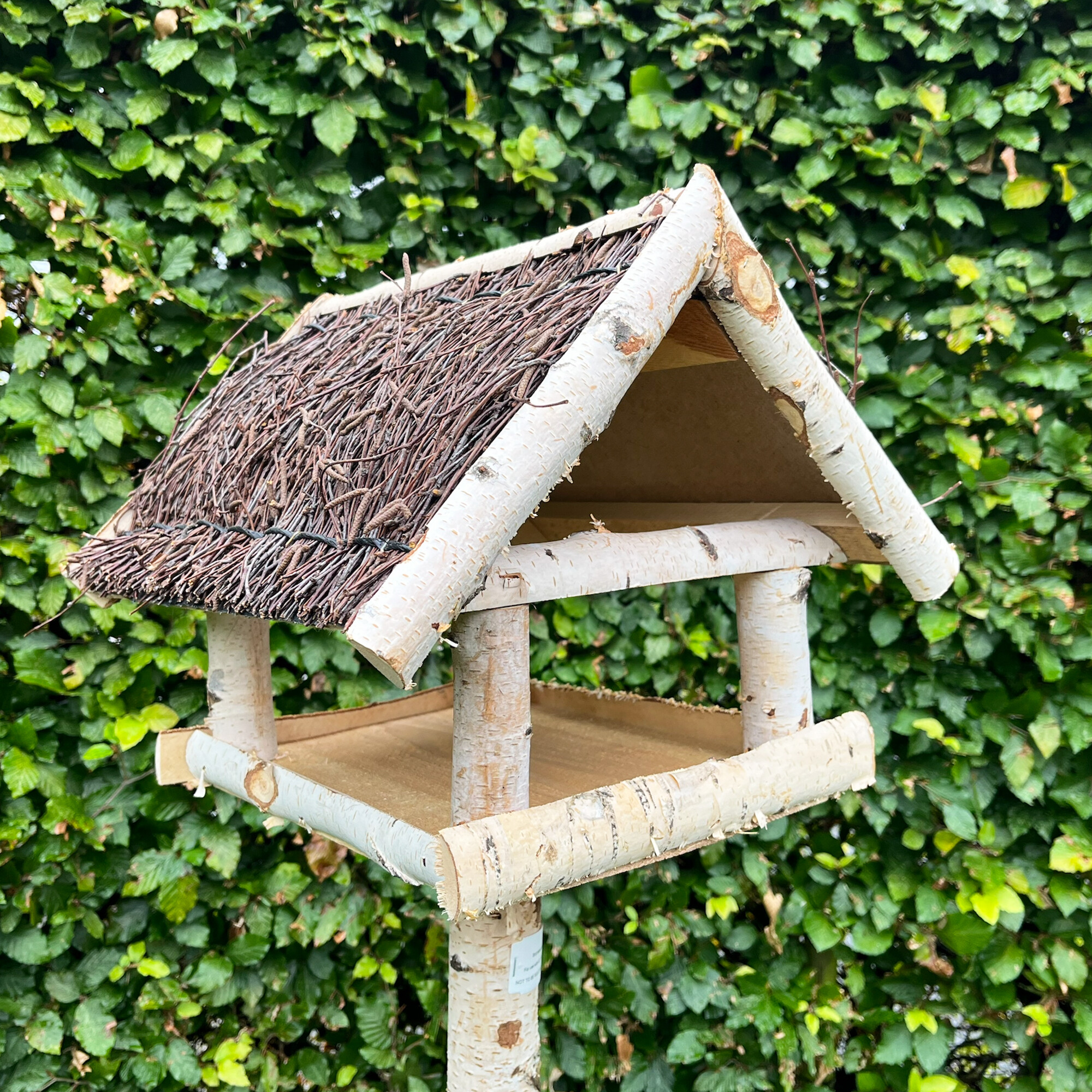 Fuglehus i birketræ med fod.
Børstet tag