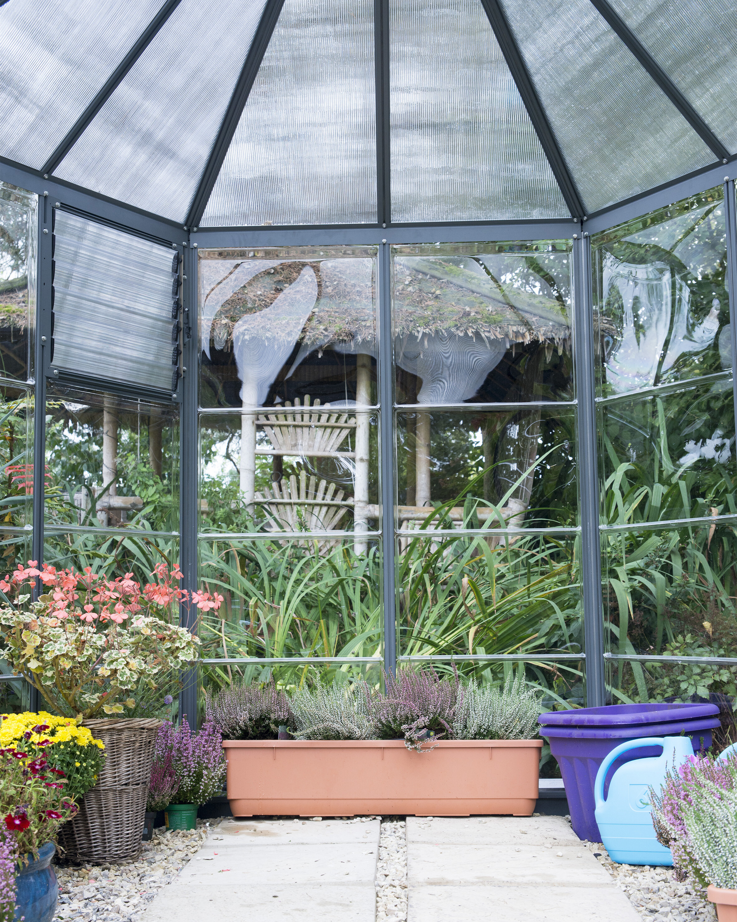 Greenhouse Oasis hexagonal 4 m2 Palram - Canopia
