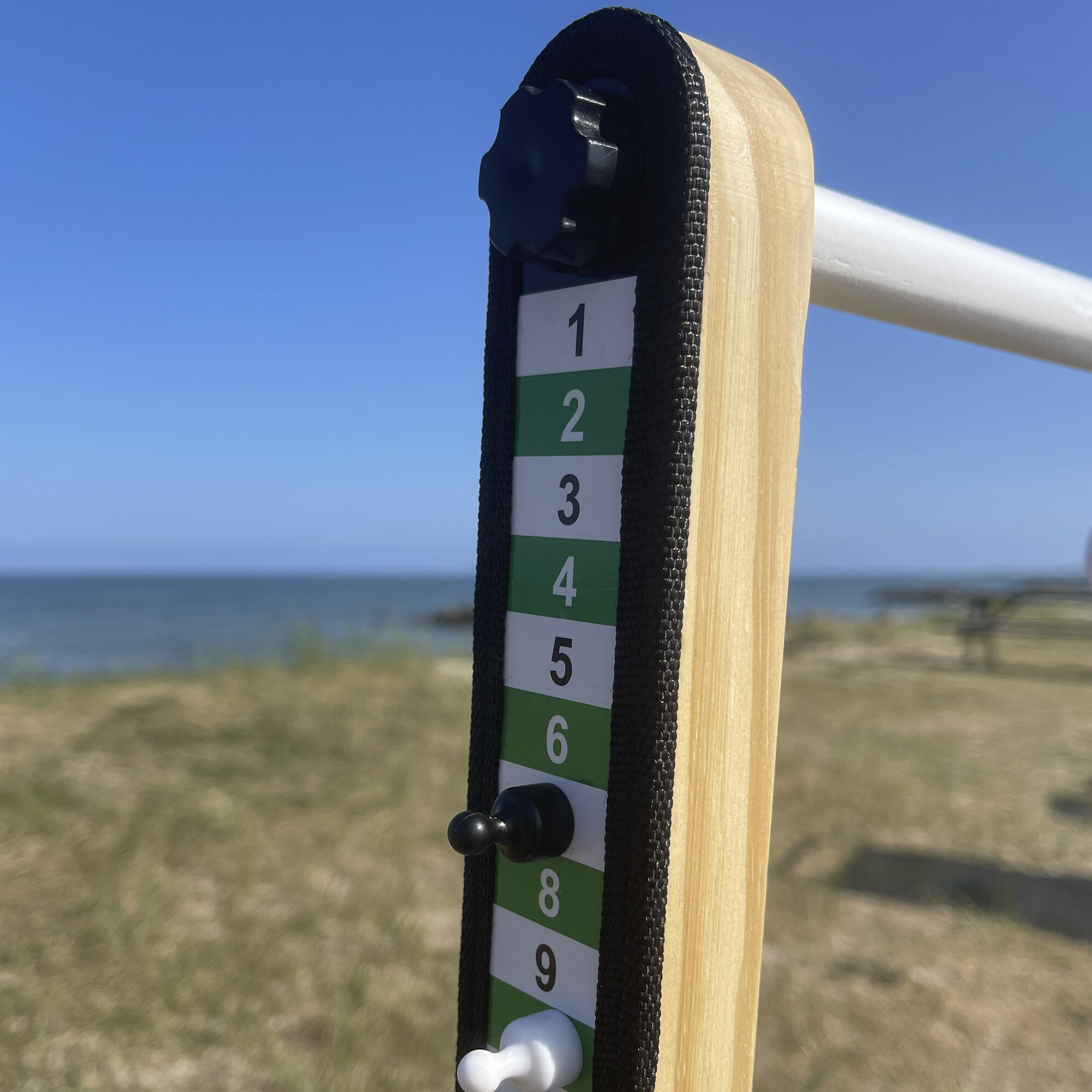 Spin ladder deluxe NORDIC Games