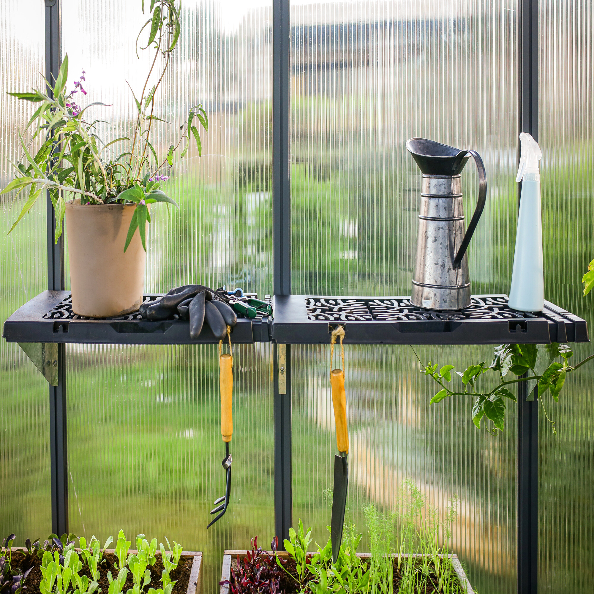 Shelf set for greenhouse Palram - Canopia