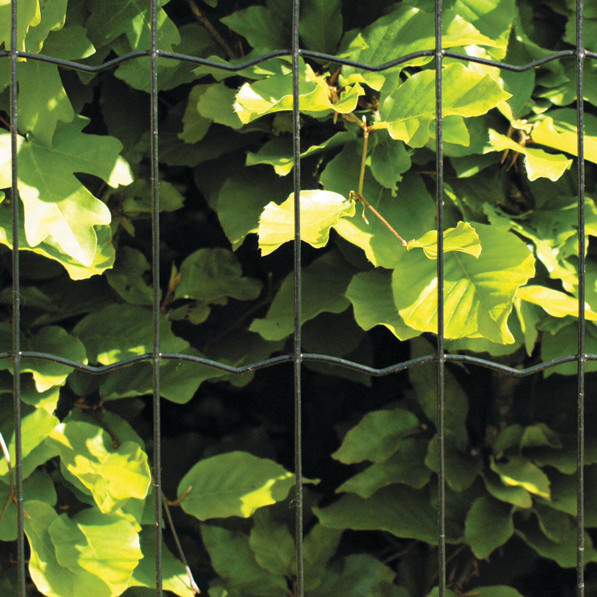Puutarha-aita, paketti: 90 cm,  5 x 10 - 50 metriä, puutolpilla, musta