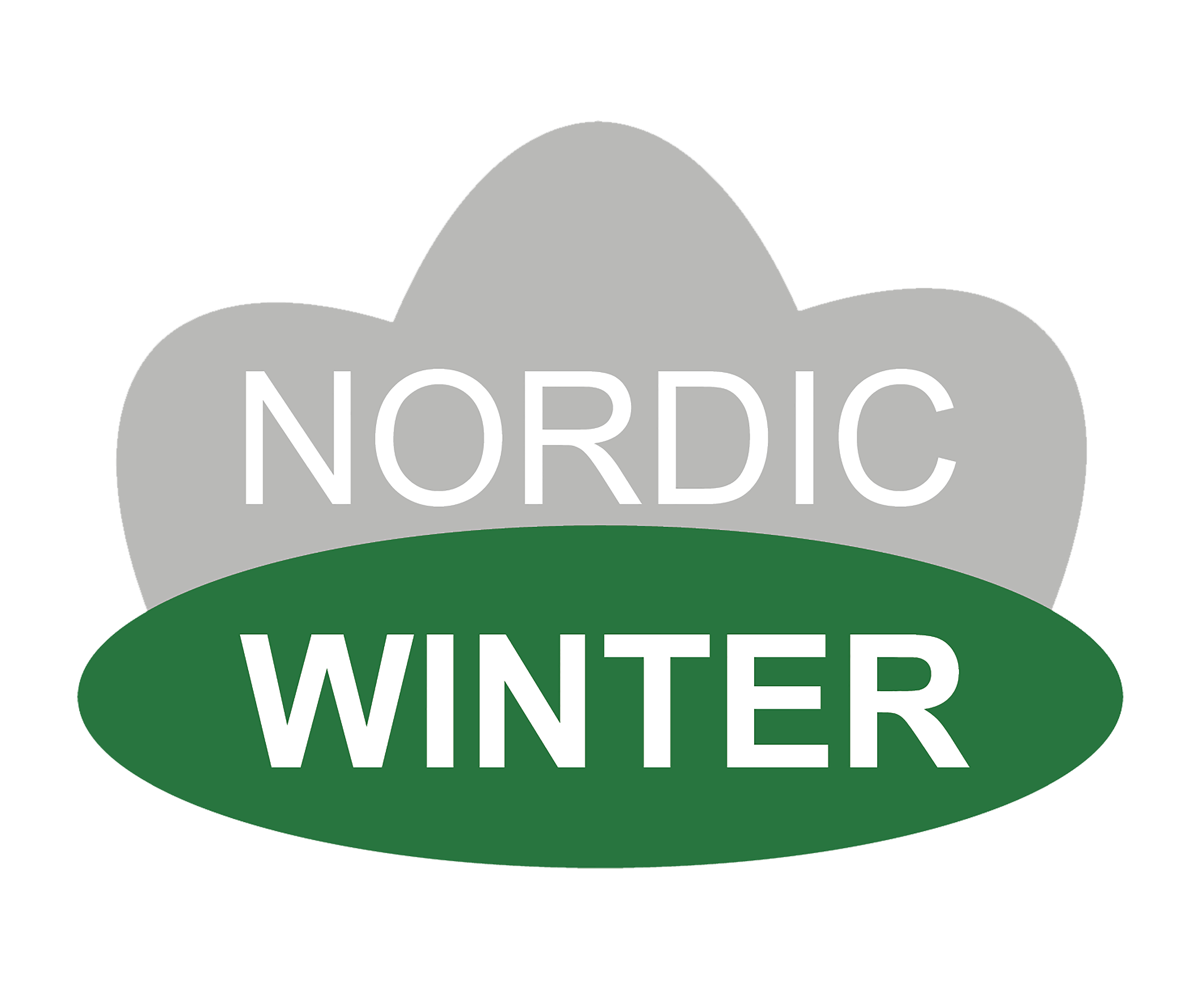 Transformer app til NORDIC WINTER, 6,0W/31V