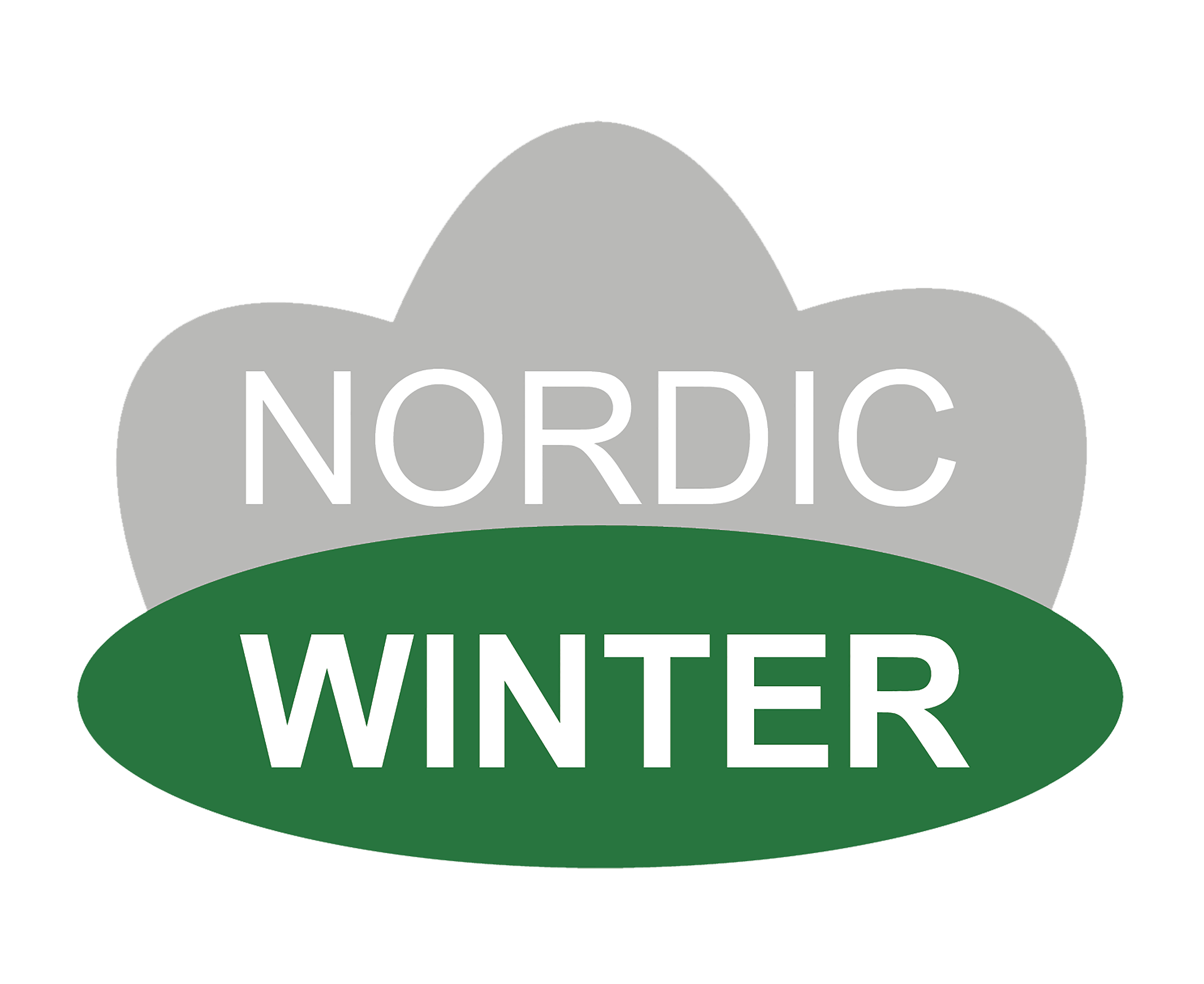 Havuköynnös ilman valoja 270 cm 3 kpl NORDIC WINTER