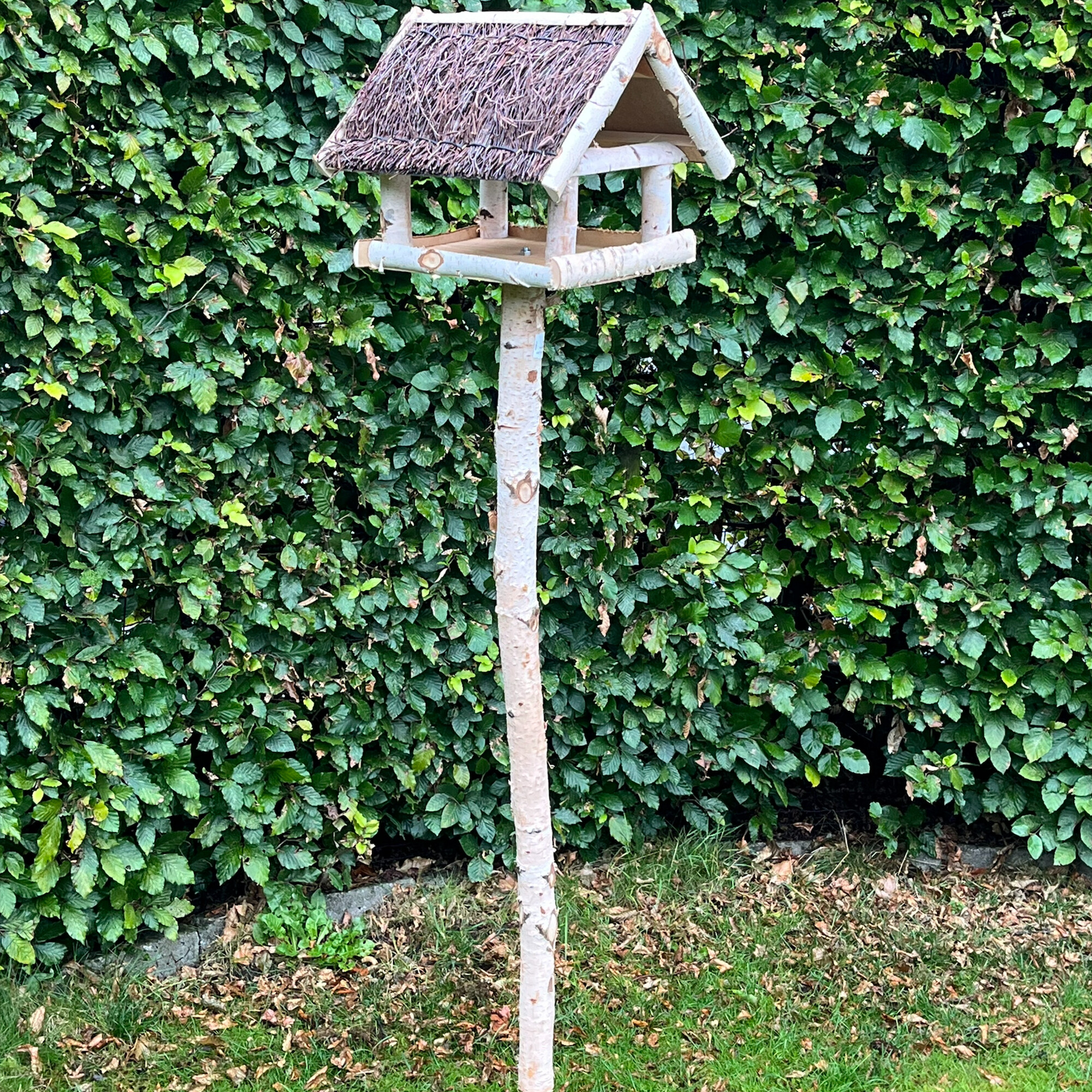 Fuglehus i birketræ med fod.
Børstet tag