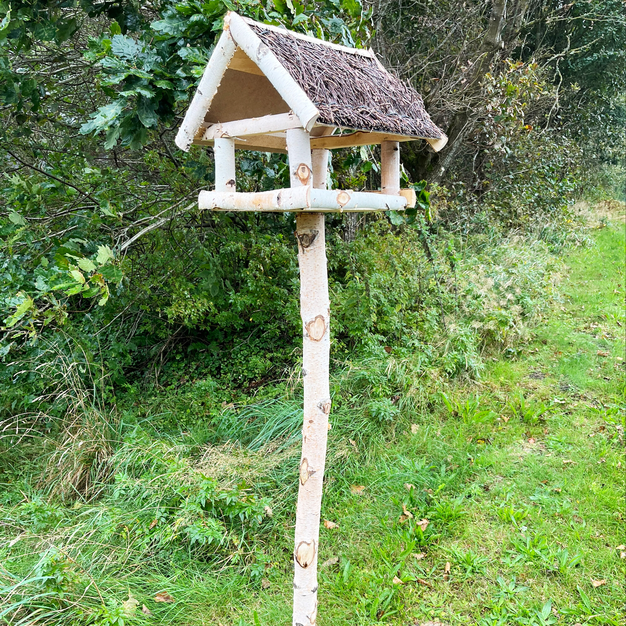 Fuglehus i birketræ med fod.
Børstet tag