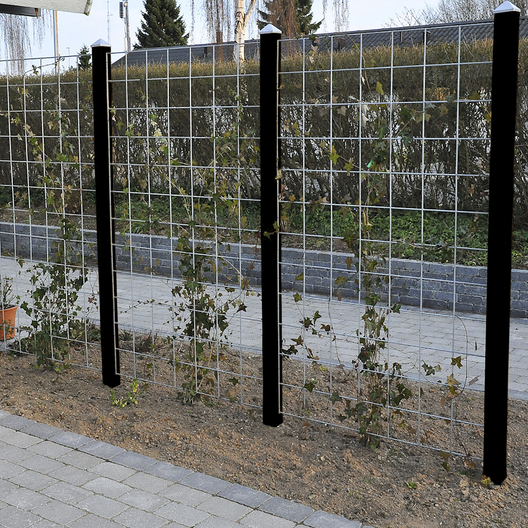 Supplementary HORTUS galvanised mesh trellis 90 x 120 cm including brackets and 4 black painted, 240 cm, fencing posts 