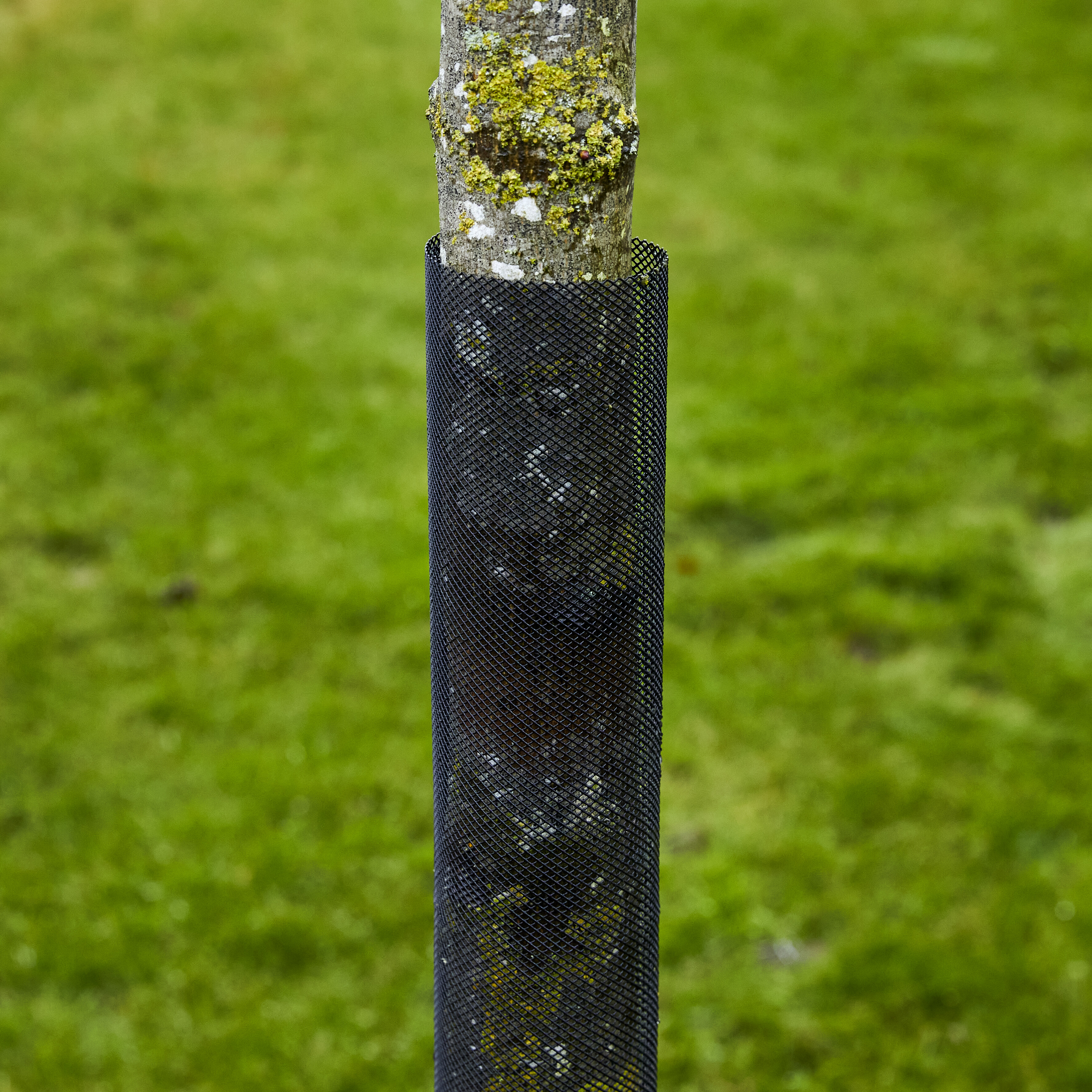 Stammebeskytter 110 cm, sort, 2-pak, NORDIC FENCE