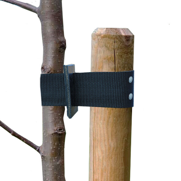 Träduppbindare, svart HORTUS