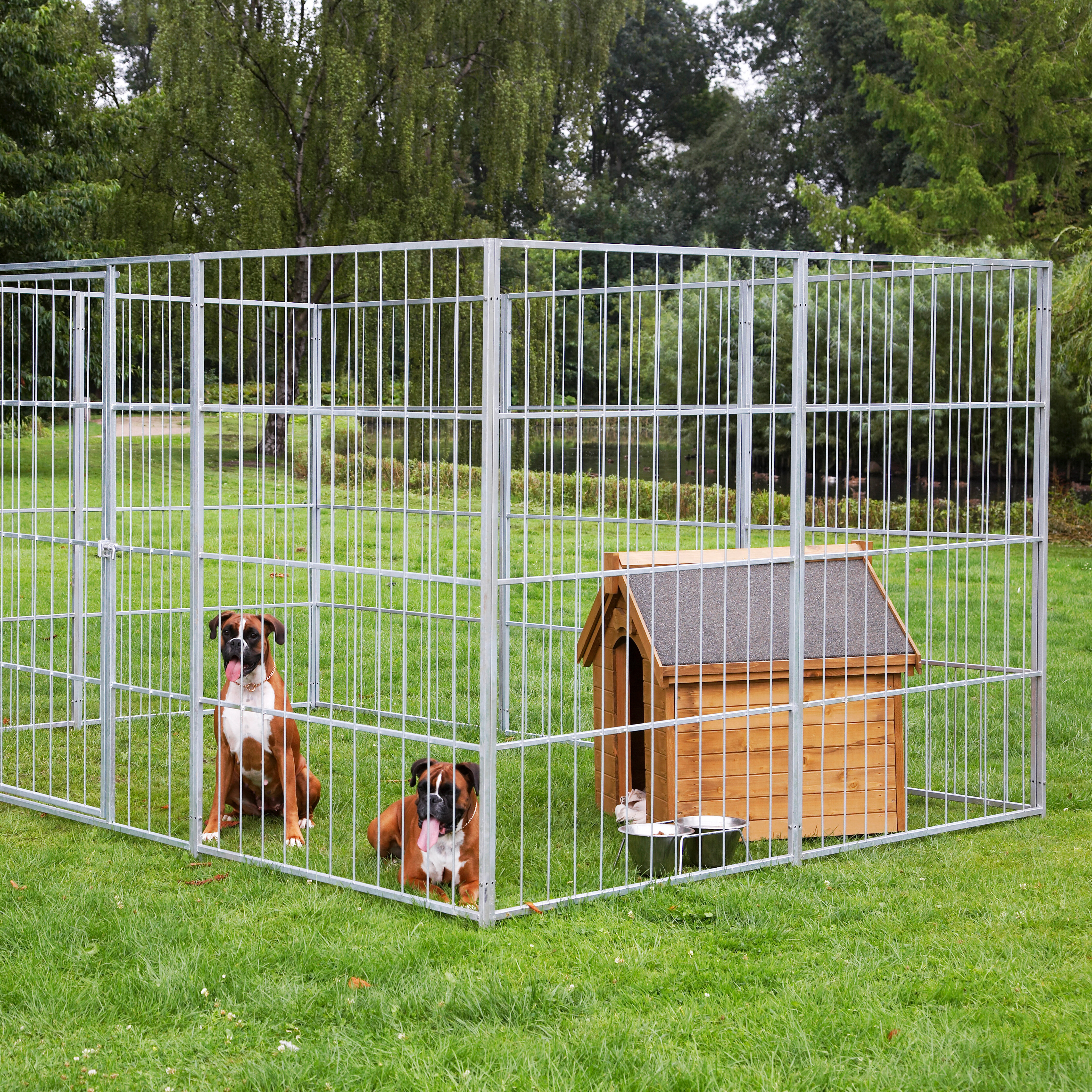 10 Accessories for a Dog Kennel