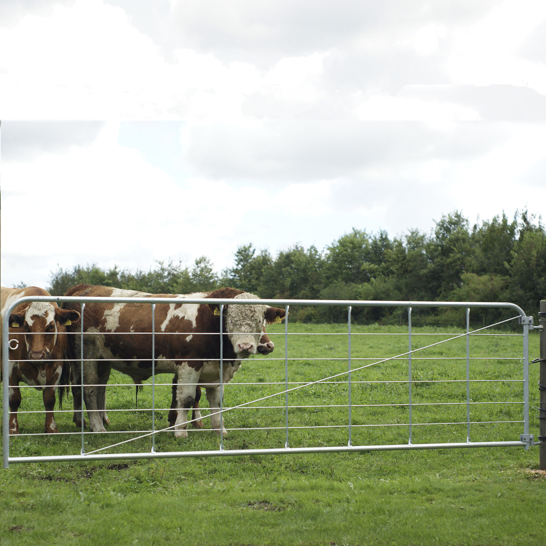 Låge, letvægts 100 x 422 cm NORDIC FENCE