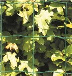 Havehegnspakke grøn 10 x 10 cm 100 meter