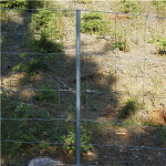 Galvaniseret hegnspæl 200 cm
