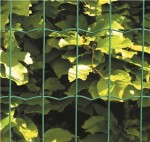 Havehegnspakke grøn 5 x 10 cm 75 meter