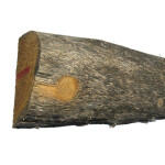 Pæl ½-skåret, robinie, Ø14/17 cm x L: 225 cm